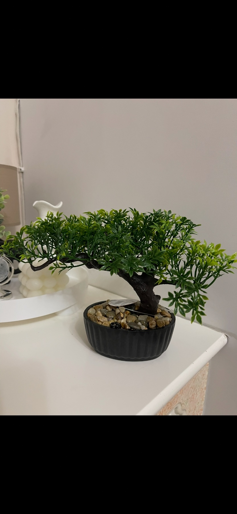 Brand New Green leaf Japanese style Bonsai tree plant, aesthetic modern home decor