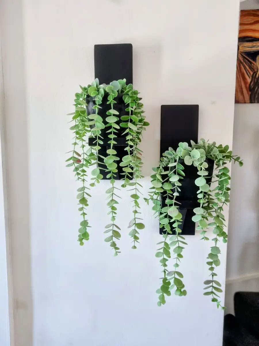 Wall plant or candle holders