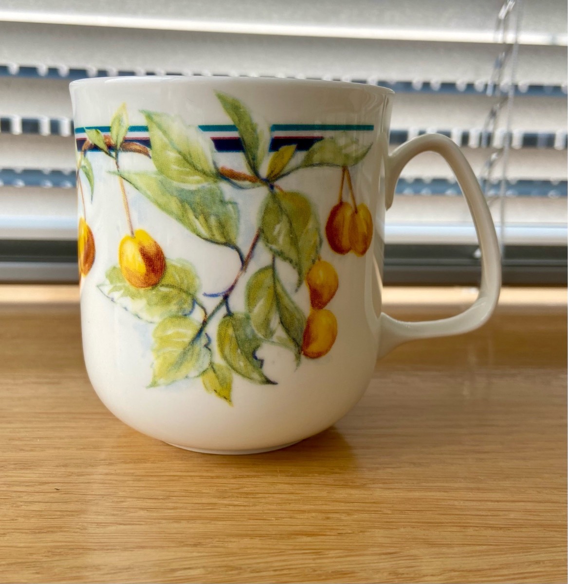 Rose of England Bone China Fruit Mug | Made in England | Botanical Design