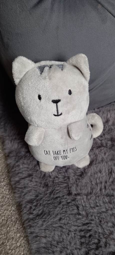 Cat teddy