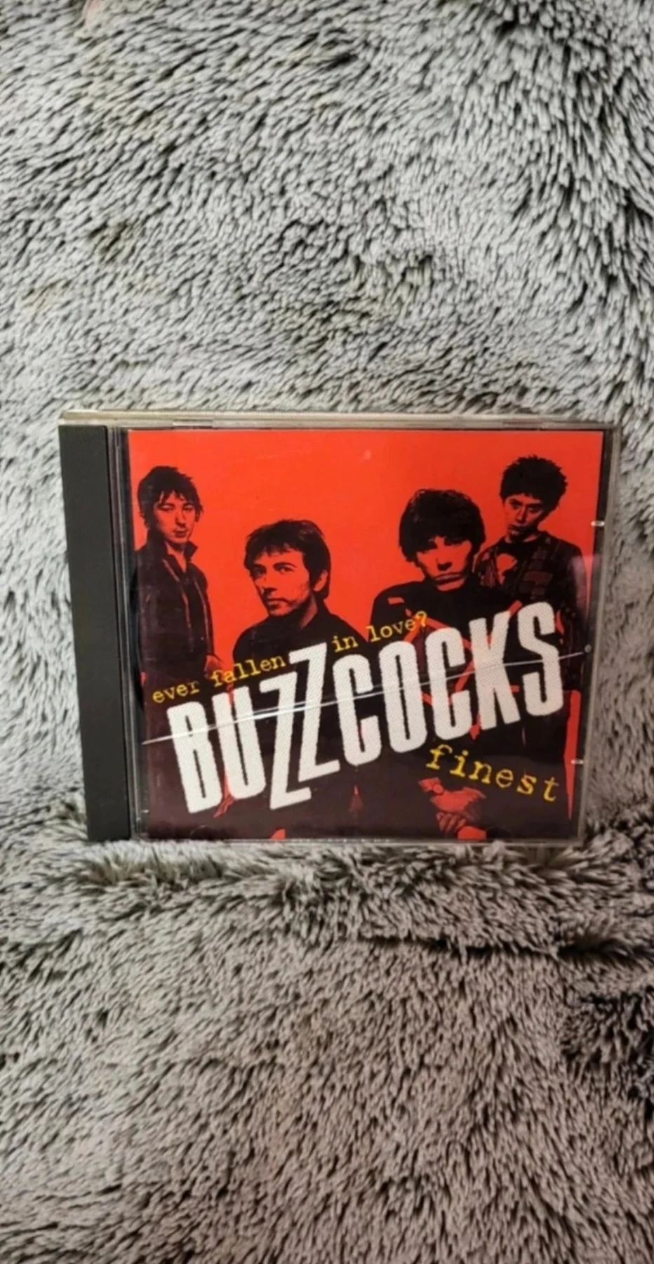 The Buzzcocks Ever Fallen In Love CD